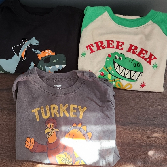 Carter's Other - Set Of 3 Holiday Shirts 3T. Halloween, Thanksgiving And Chtistmas